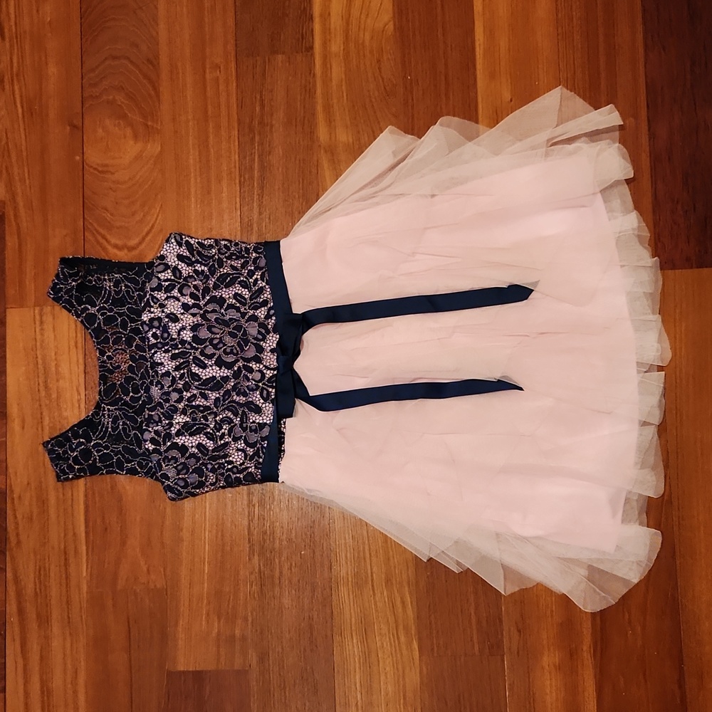 Girls Pink and Navy Lace and Ruffle Tulle Dress, Size 10